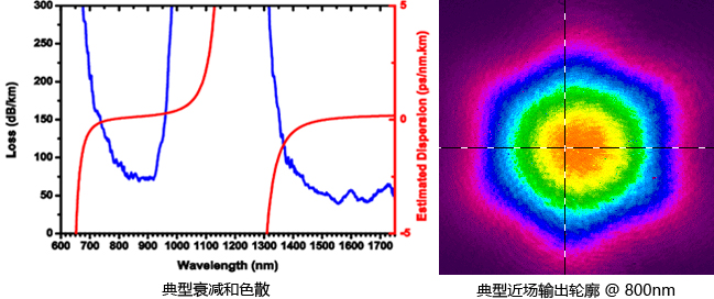 пչӾSTGLO-C-TiSa_Er-7C